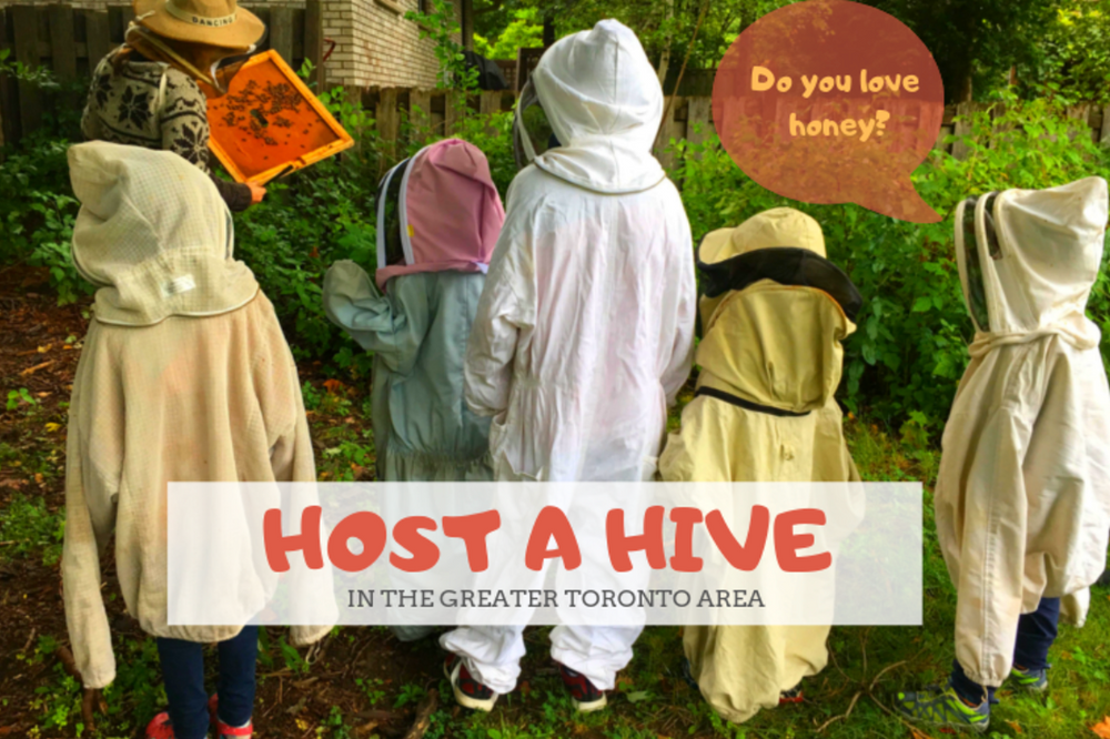 Hive Hosting